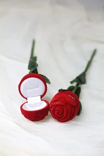 شاخه گل سوپرایزی